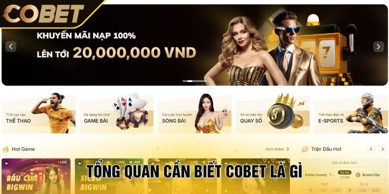 Tổng quan cần biết Cobet là gì