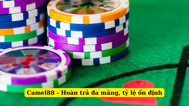 Camel88 - Hoàn trả đa mảng, tỷ lệ ổn định