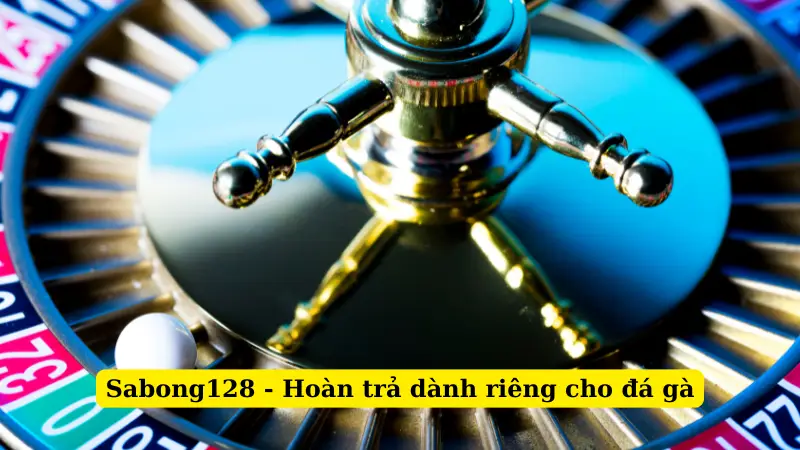 Sabong128 - Hoàn trả dành riêng cho đá gà